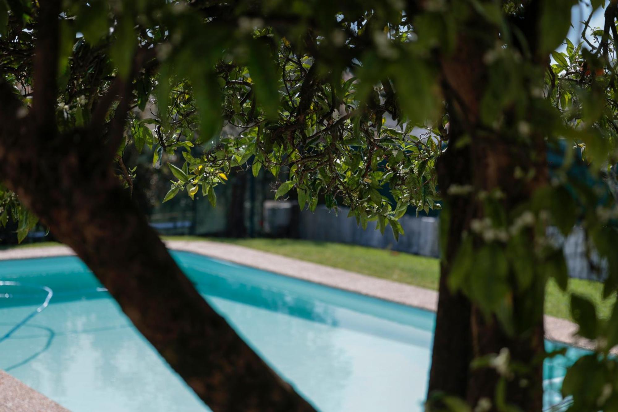 Vakantiehuis Casa Do Vale -villa Rio Minho-seixas-caminha Caminha